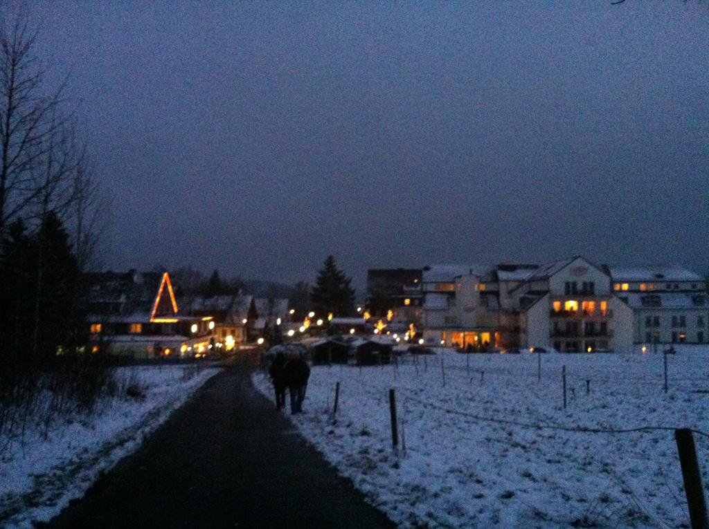Ferienwohnung Am Skikarussel ヴィンターベルク 部屋 写真